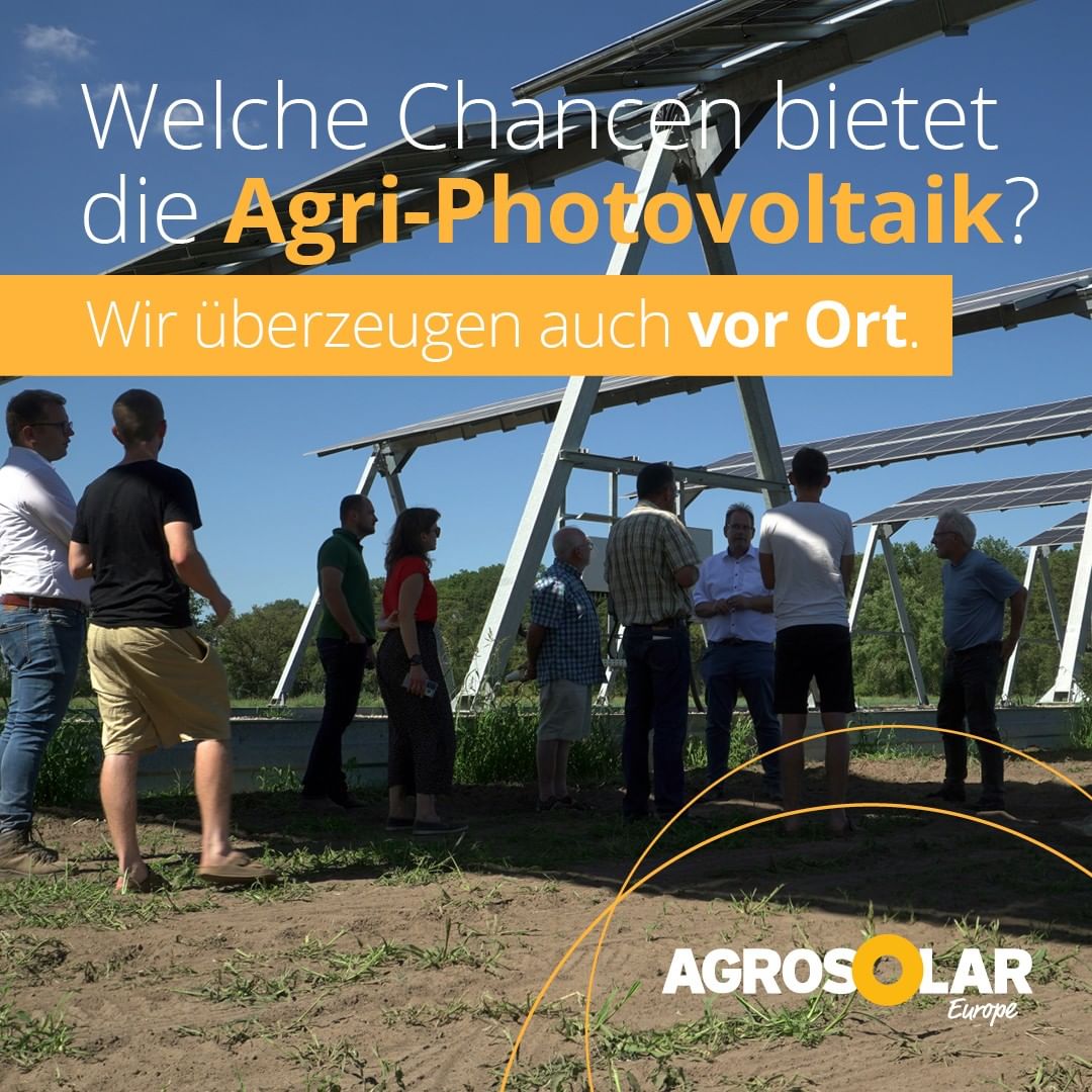 agri-pv-agri-photovoltaik-News Im lebendigen Dialog